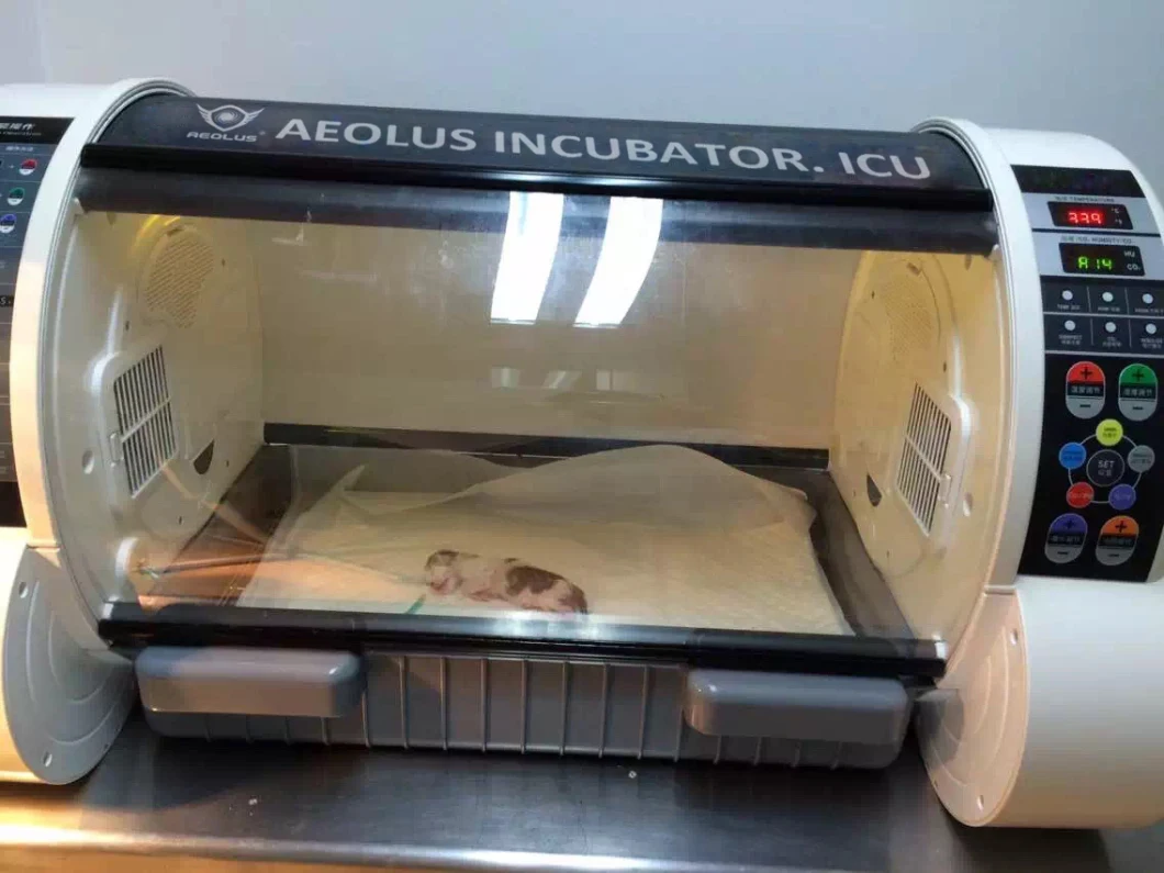 Small Animal Puppy Incubator Canine Incubator Pet ICU for Vet Clinic Hospital